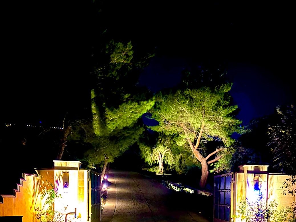 Gated entry and driveway with uplit trees